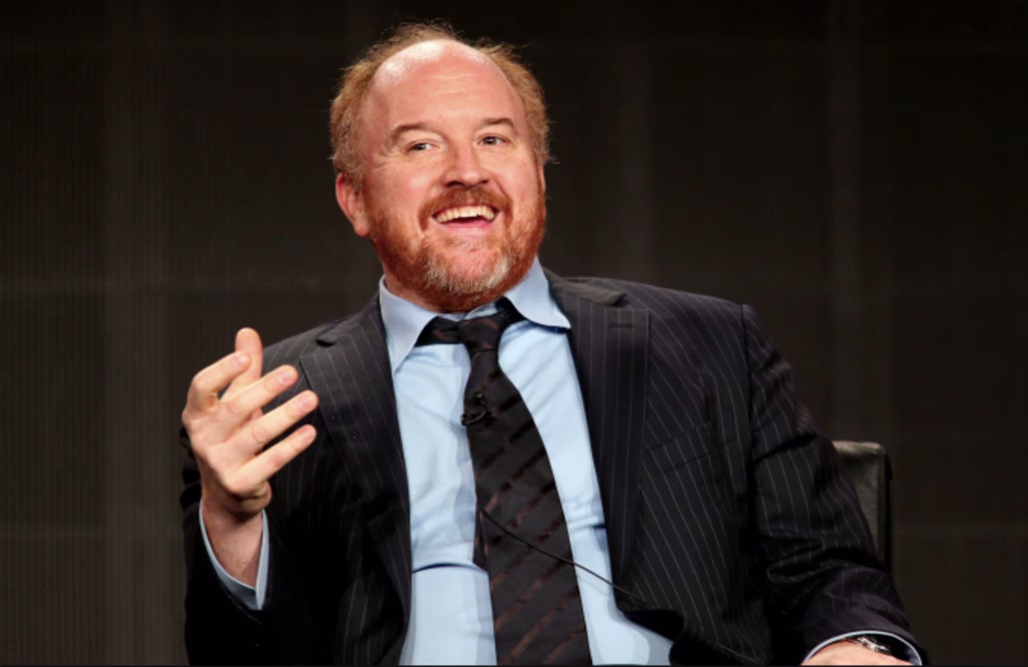 Creator/writer/actor Louis C.K.