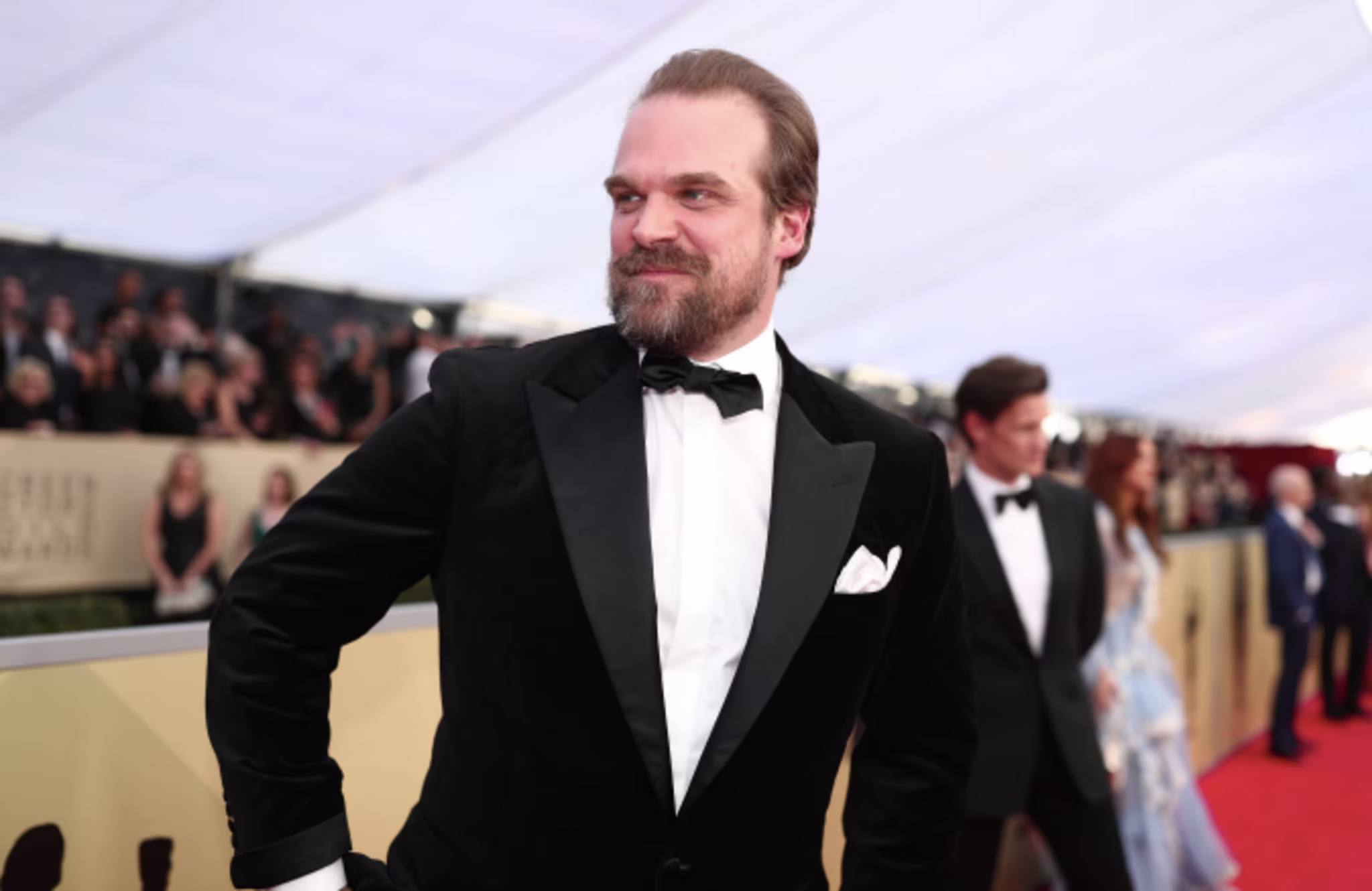 David Harbour