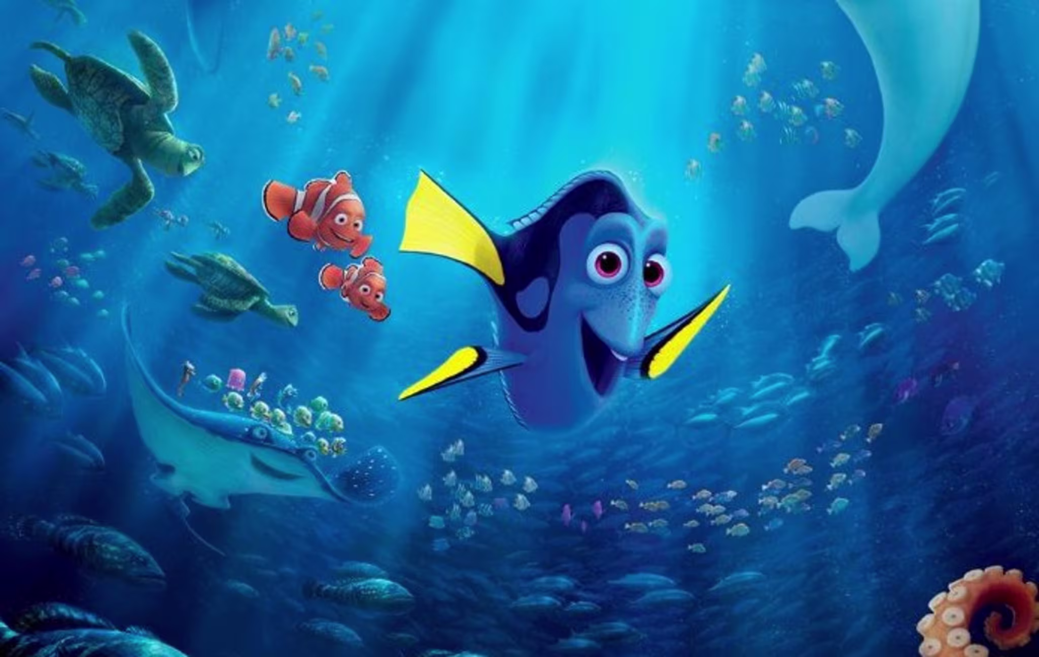 Finding Dory