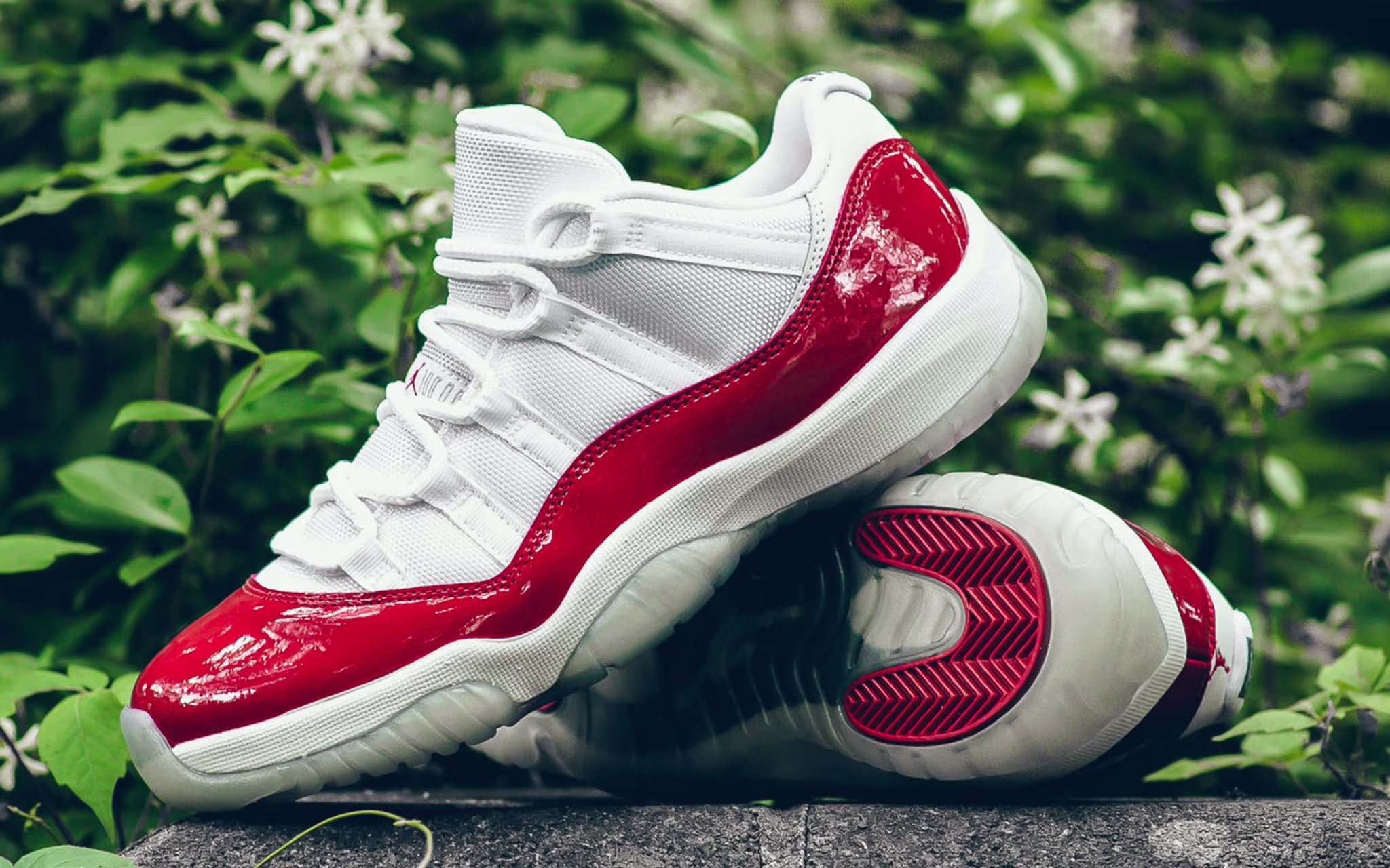 Air Jordan 11 Low White/Red Release Date 528895 102