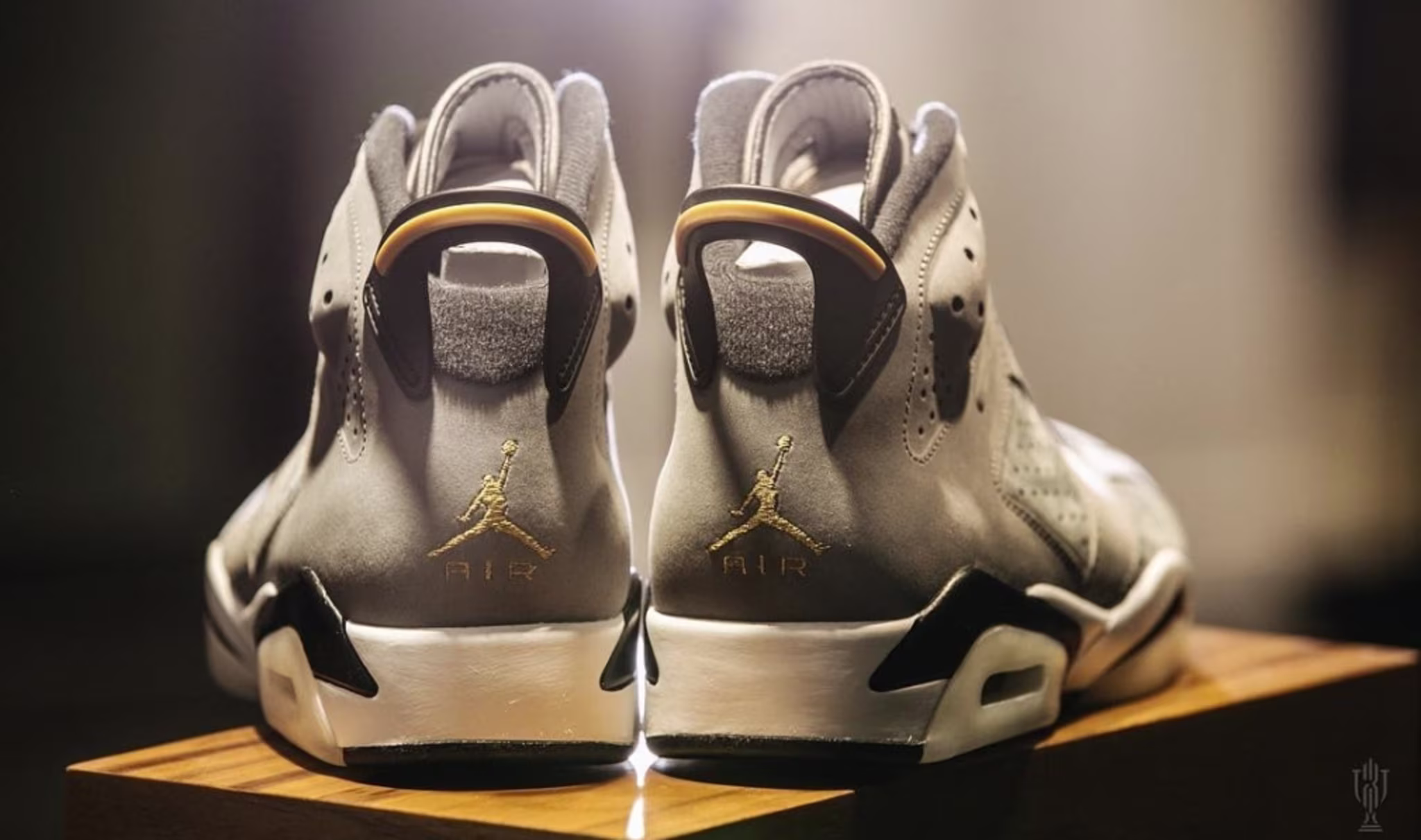 Trophy Room Air Jordan 6