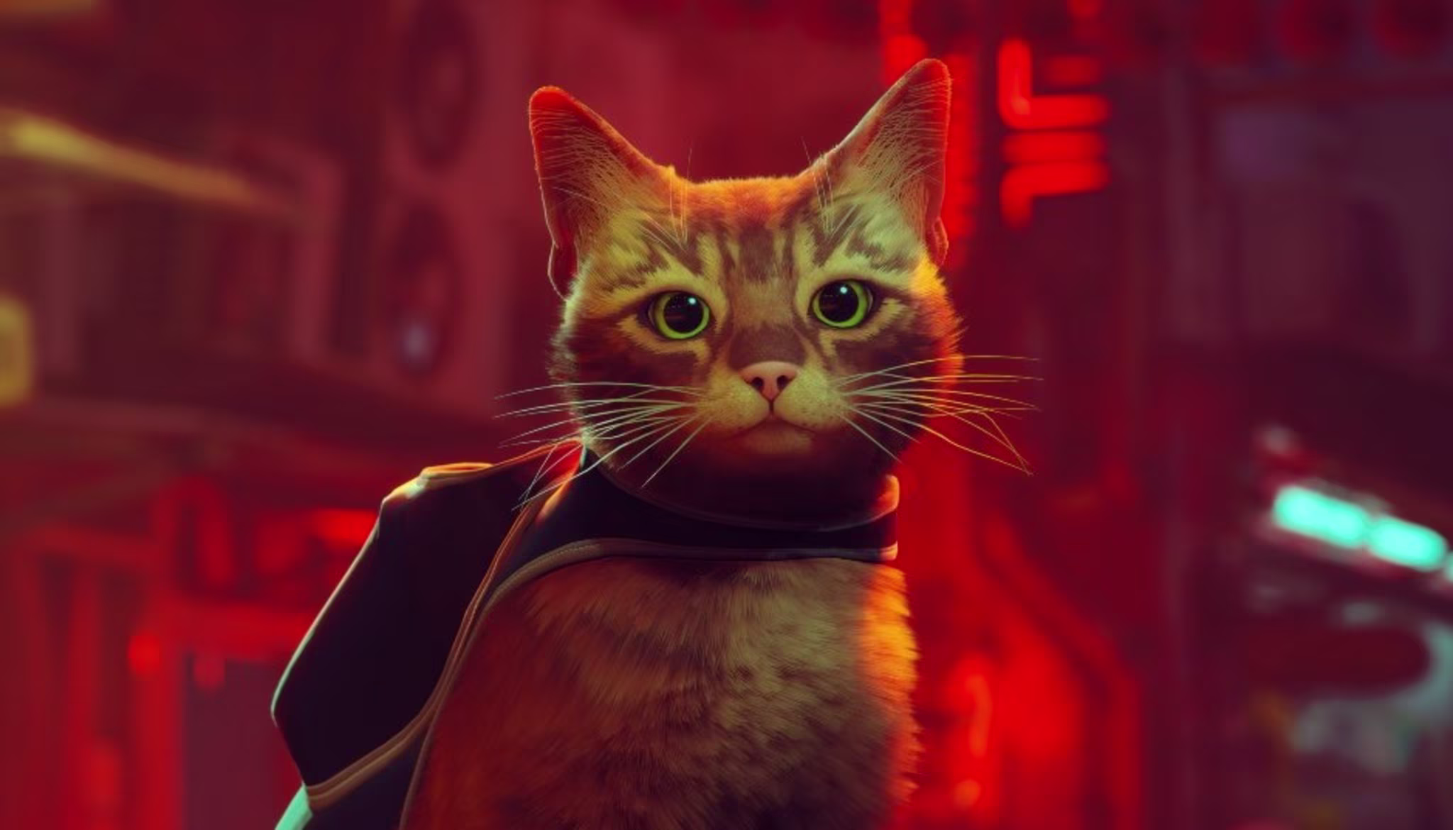 Stray and 10 Anticipated 2022 Games