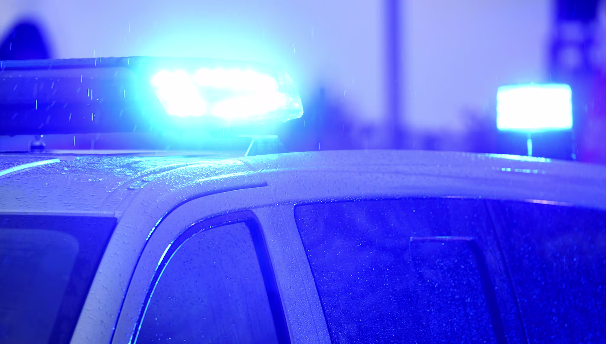 A police car with the blue light on is on the verge of a demonstration in Kiel.