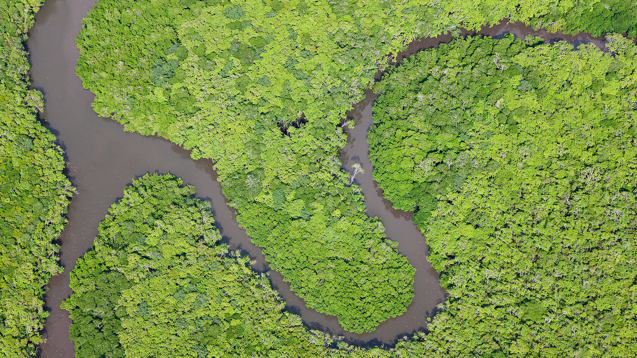 daintree-river