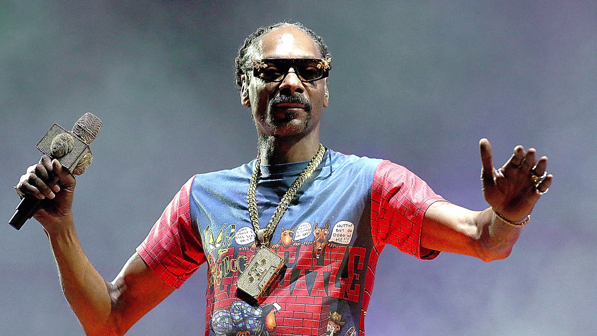 Snoop Dogg performs in concert during the Hometown Heroes Drive In Concert