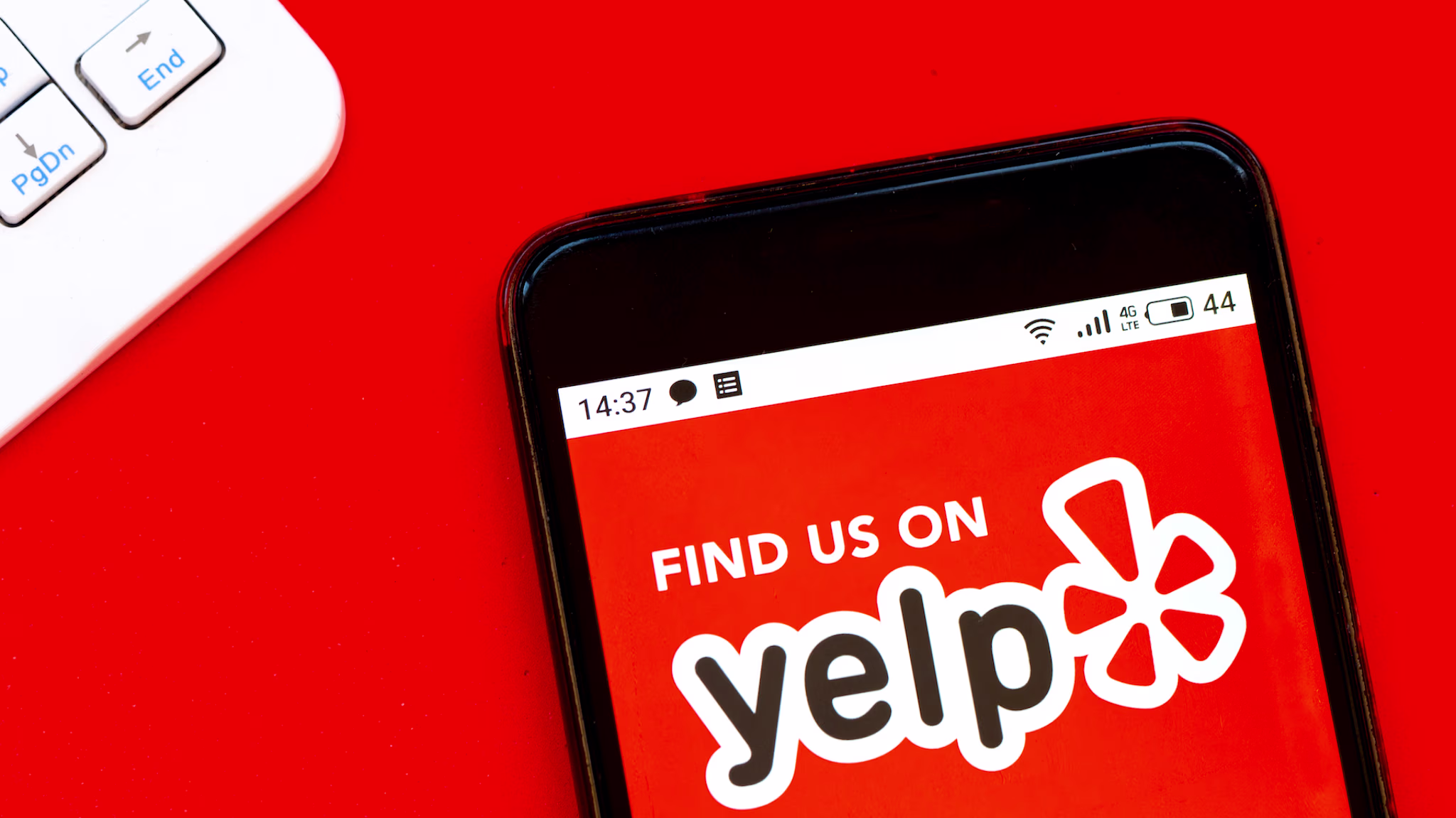 yelp racism