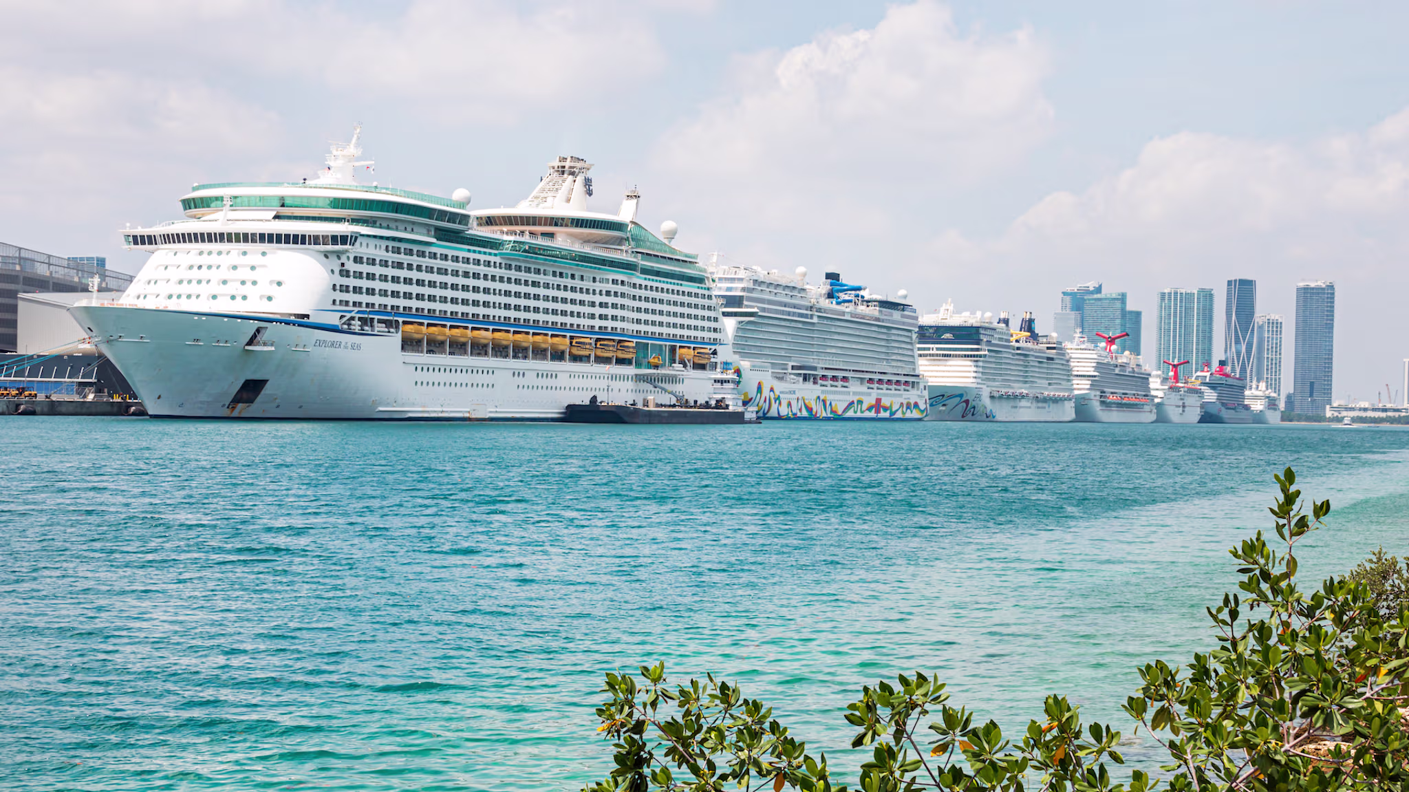 cruise rona