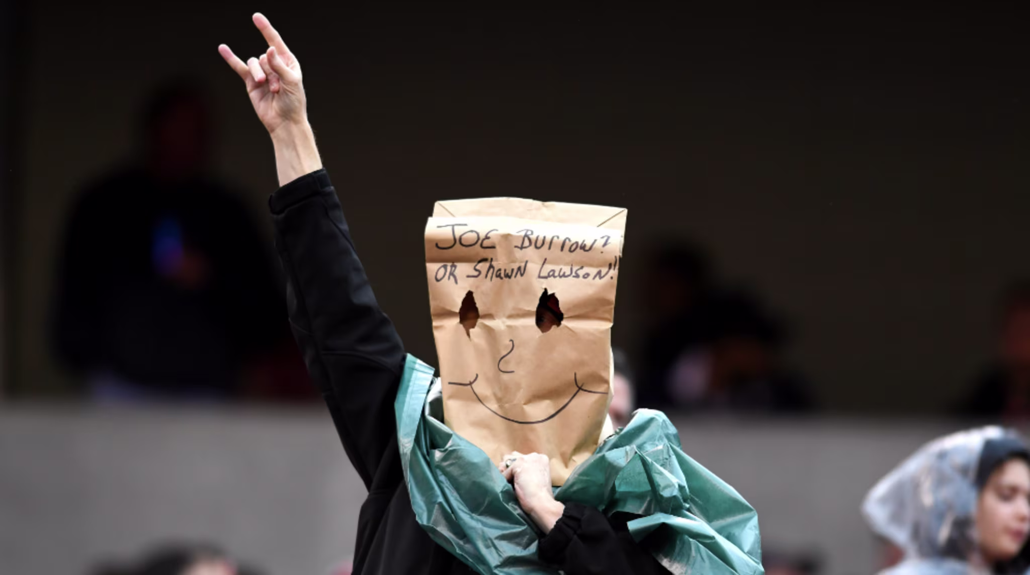 Cincinnati Bengals fan