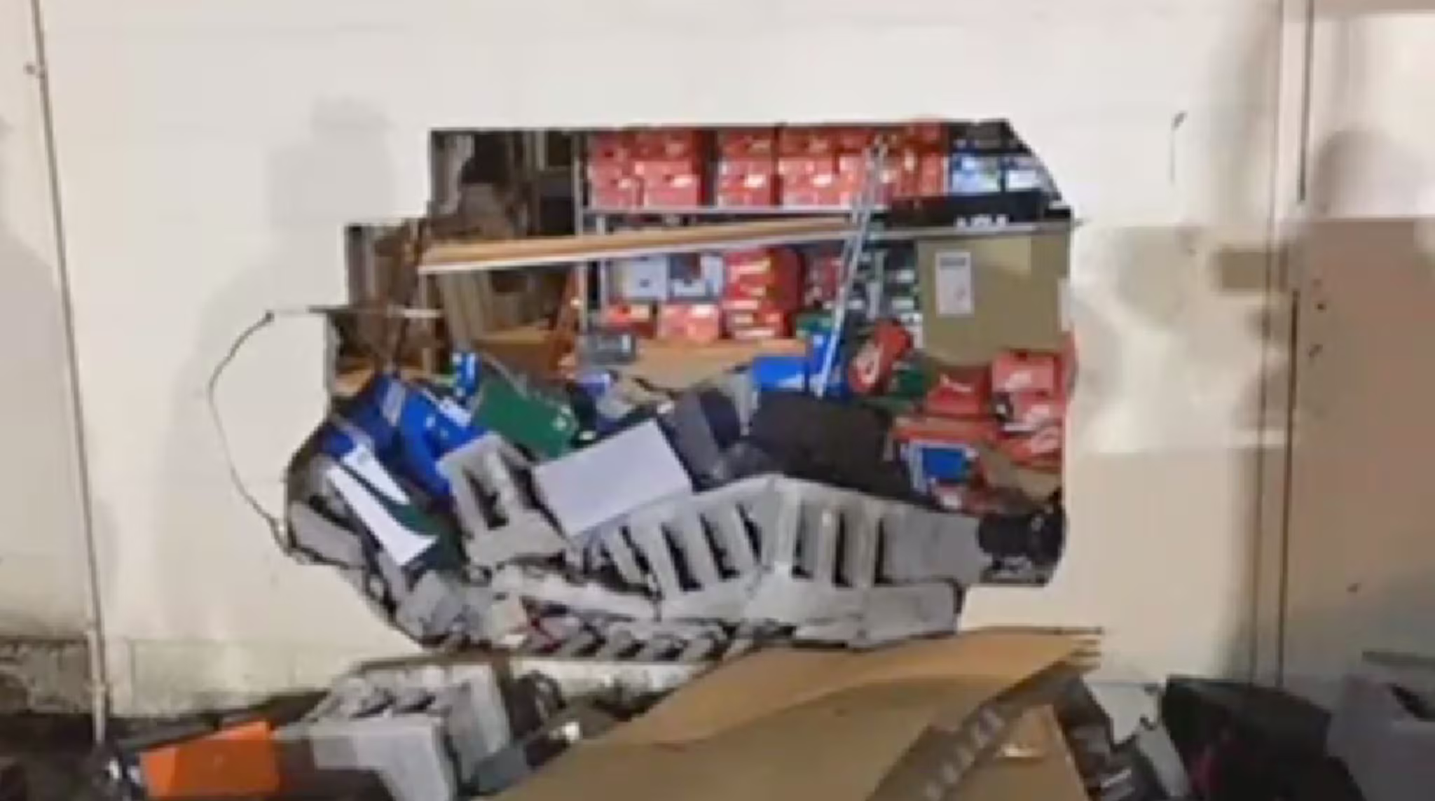 Thieves Smash Sneaker Store Space Jam Jordan 11