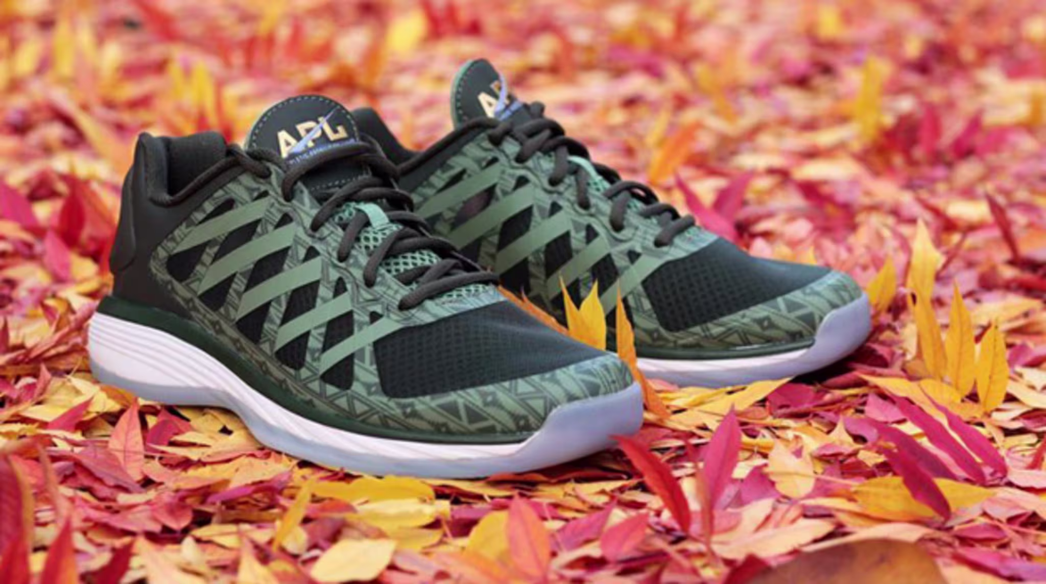 APL Vision