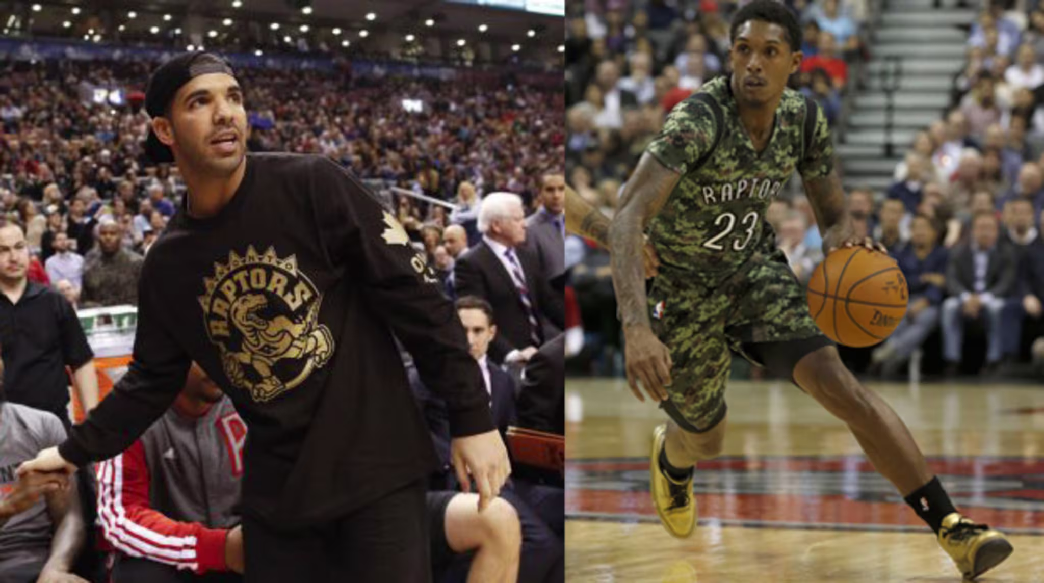 drake raptors