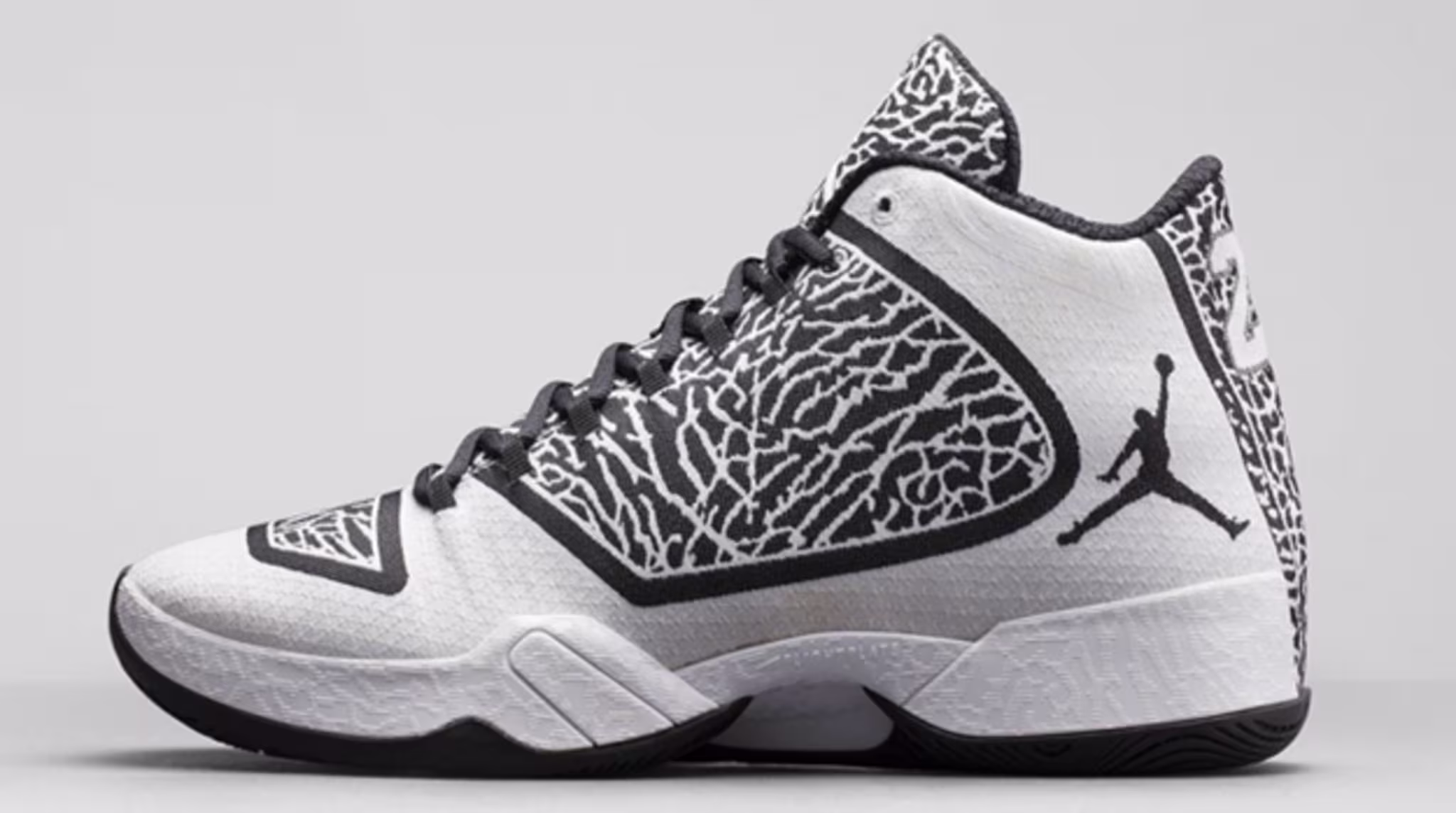 Air Jordan XX9