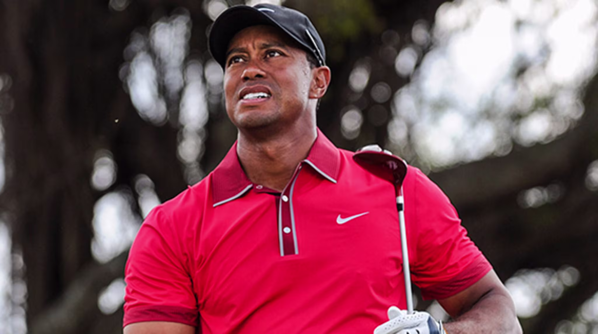 tiger woods back 01