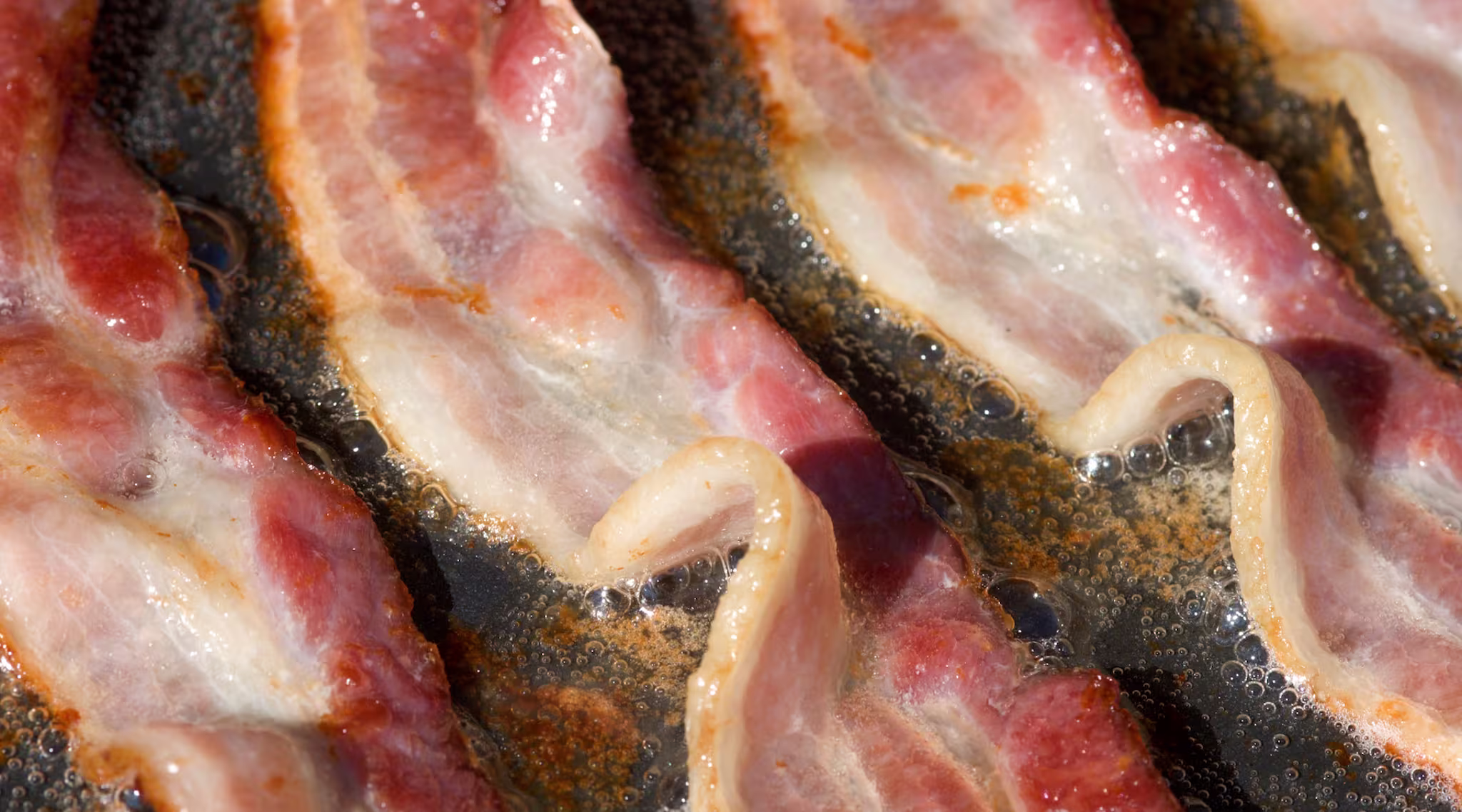 Bacon