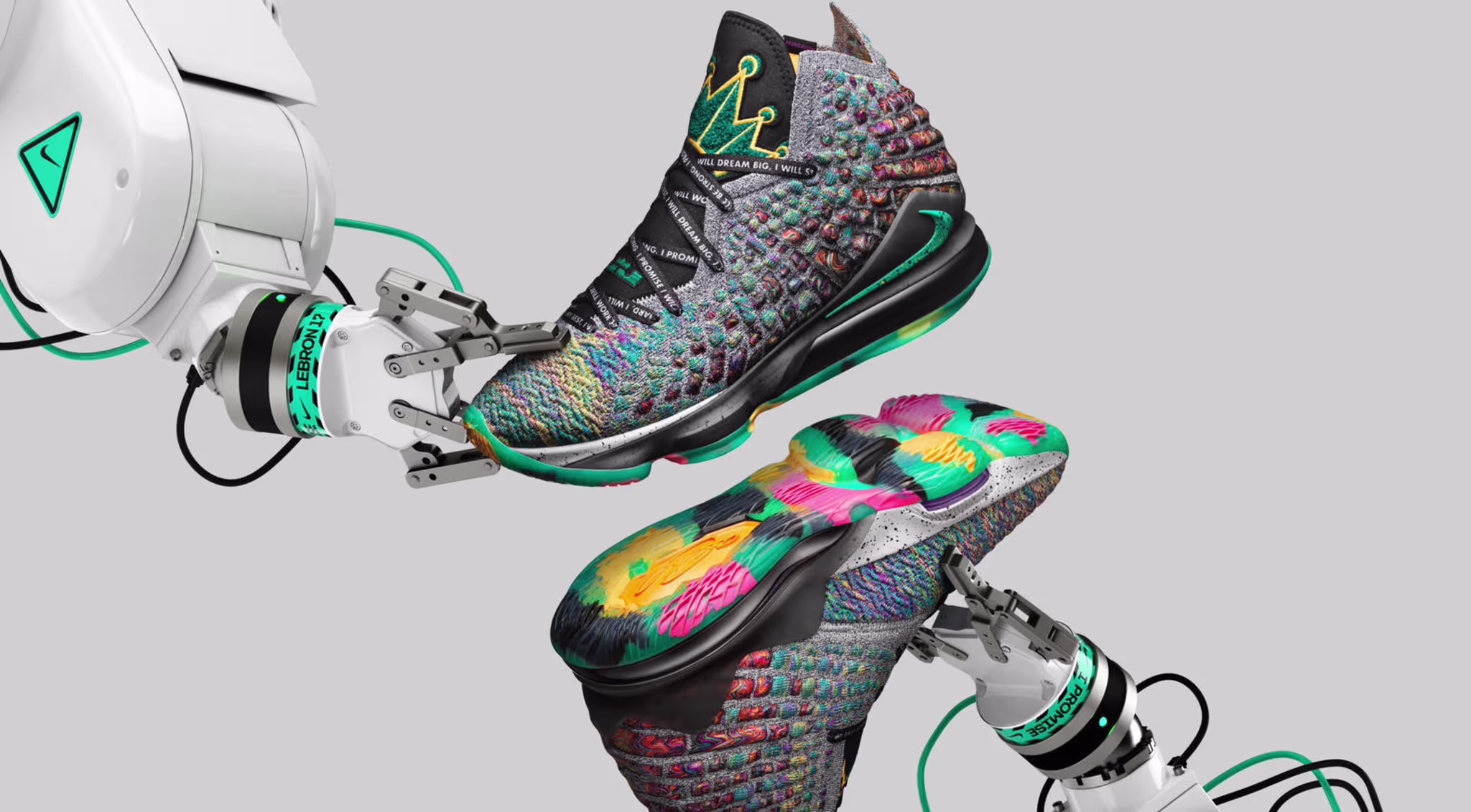 Nike LeBron 17 'I Promise' (Pair)