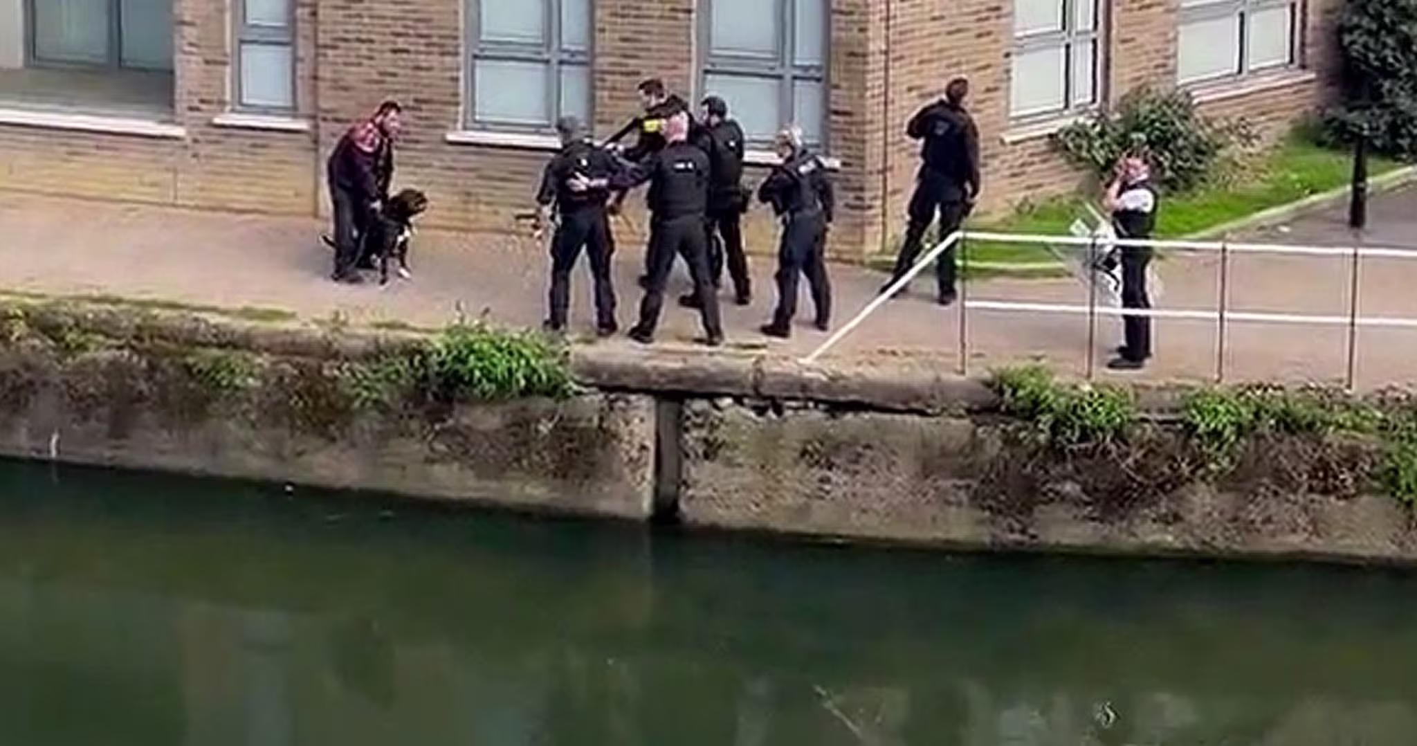tower hamlets dog attack article lead