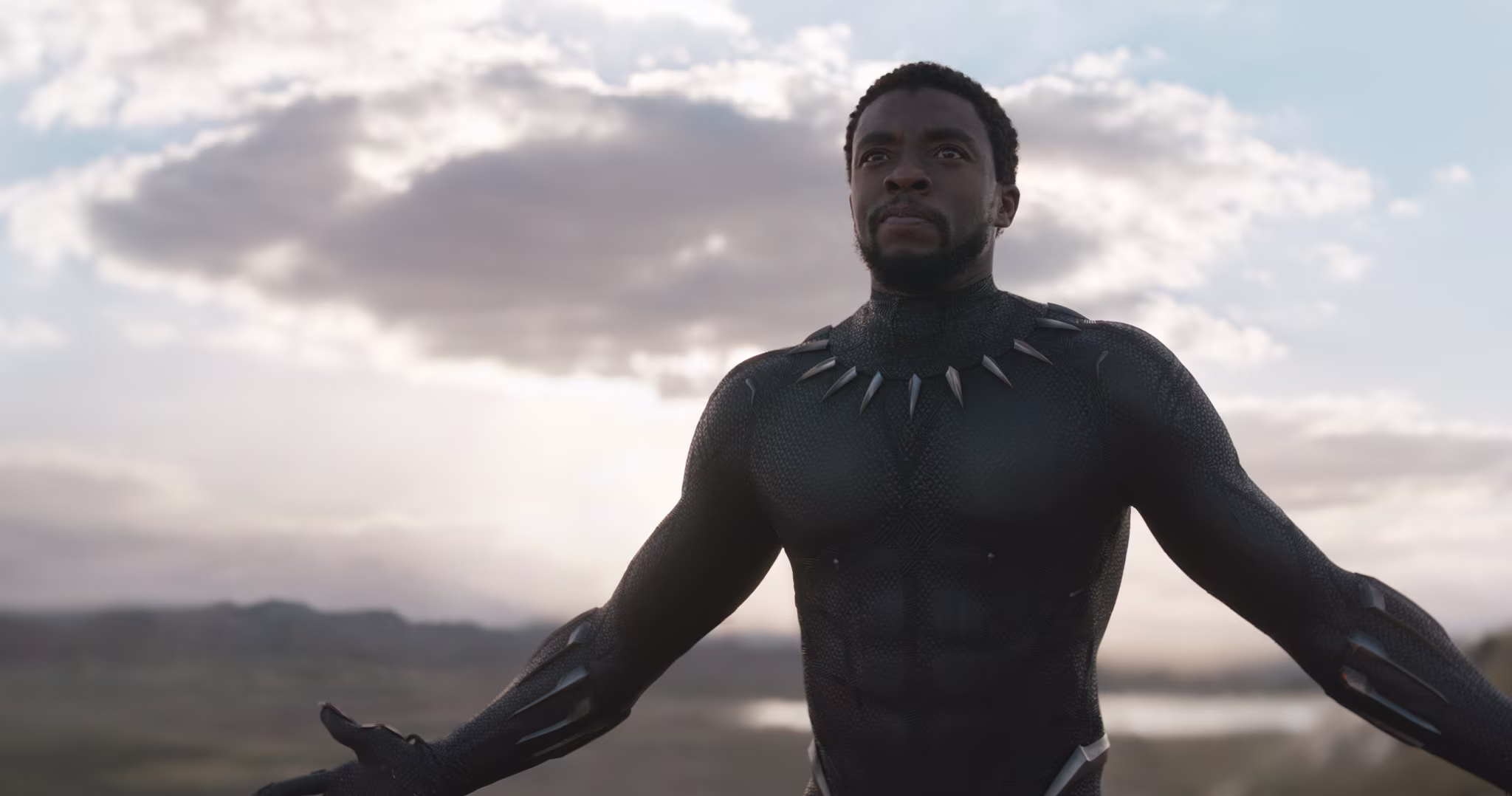 Chadwick Boseman in 'Black Panther'