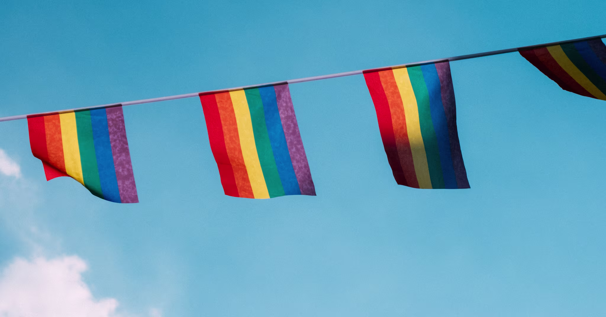 Gay Pride flags during Pride Parade 20201