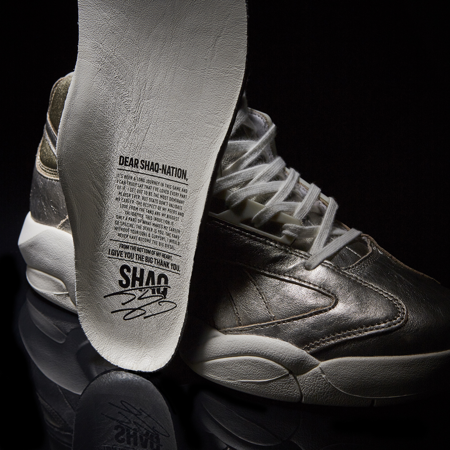 Shaq Hall of Fame Sneakers Insole
