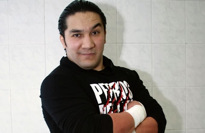 Perro Aguayo Jr. (Mexican Wrestler) Dies After Match With Rey Mysterio ...
