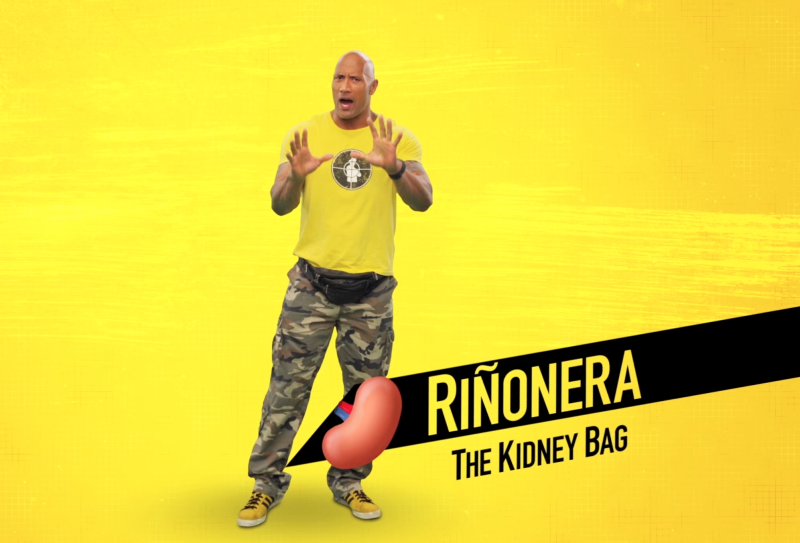 The Kidney Bag "Rinonera"