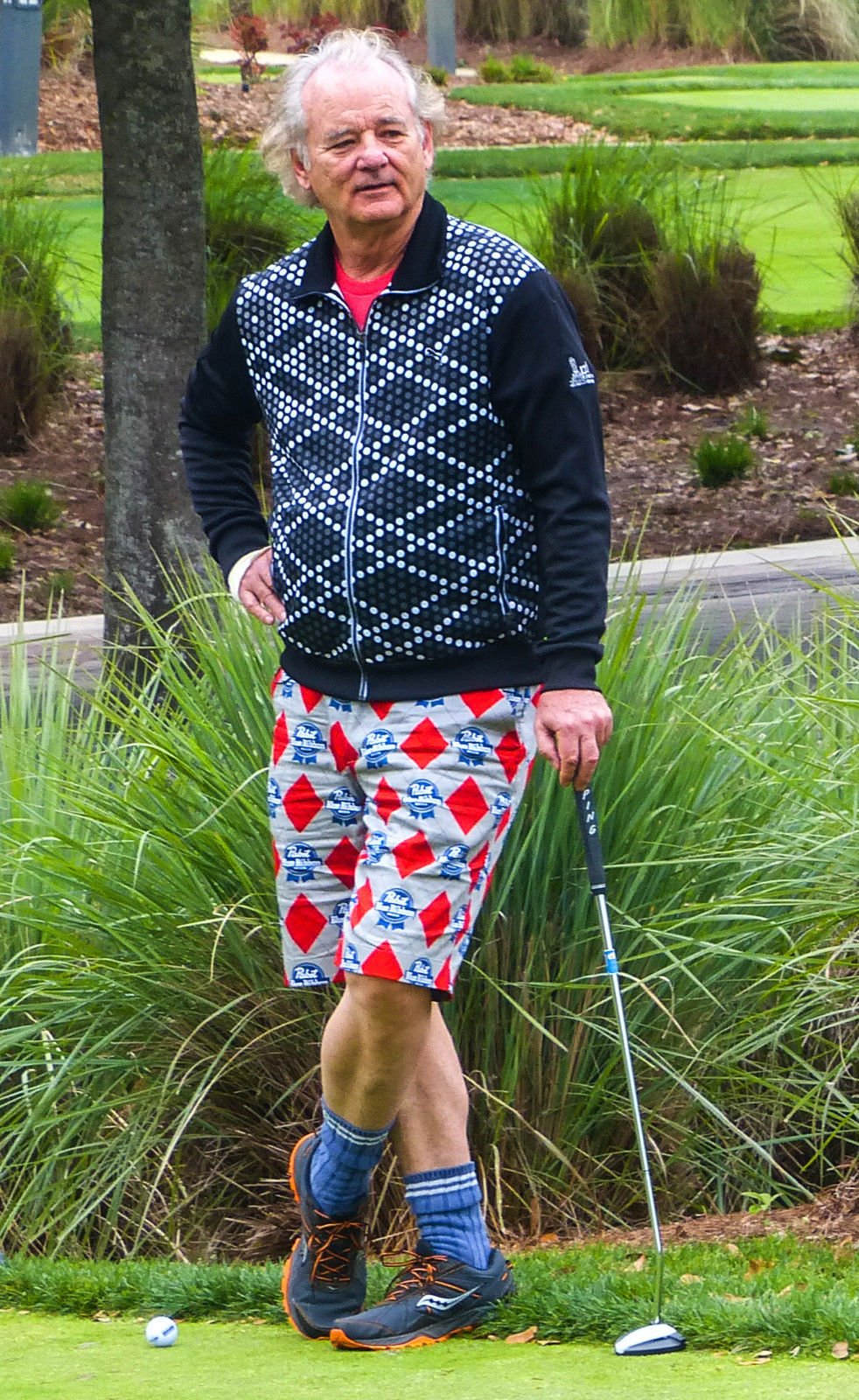 pbr shorts golf