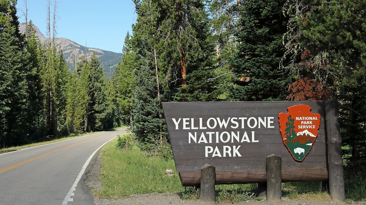 A sign for Yellowstone National Park beside a road. The sign also features the National Park Service emblem. Forest scenery is visible in the background