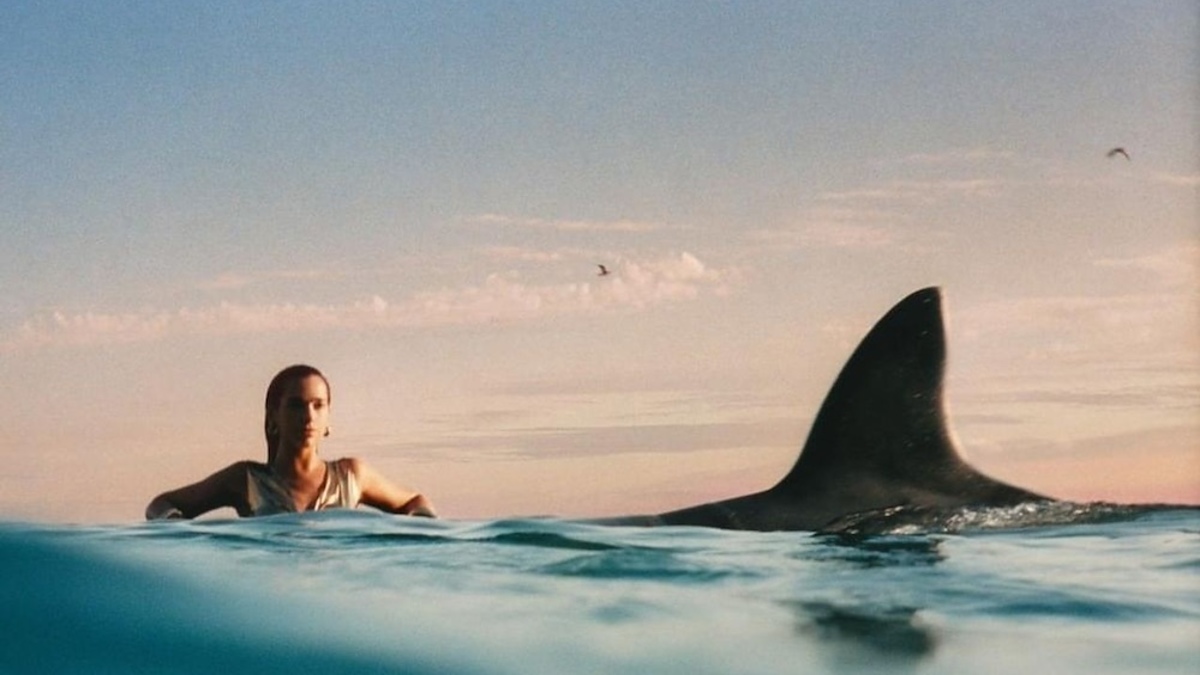 Person in water with nearby shark fin, calm expression, horizon in background