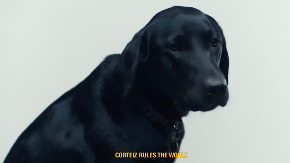 Black Labrador with the phrase "CORTEZ RULES THE WORLD" overlaid