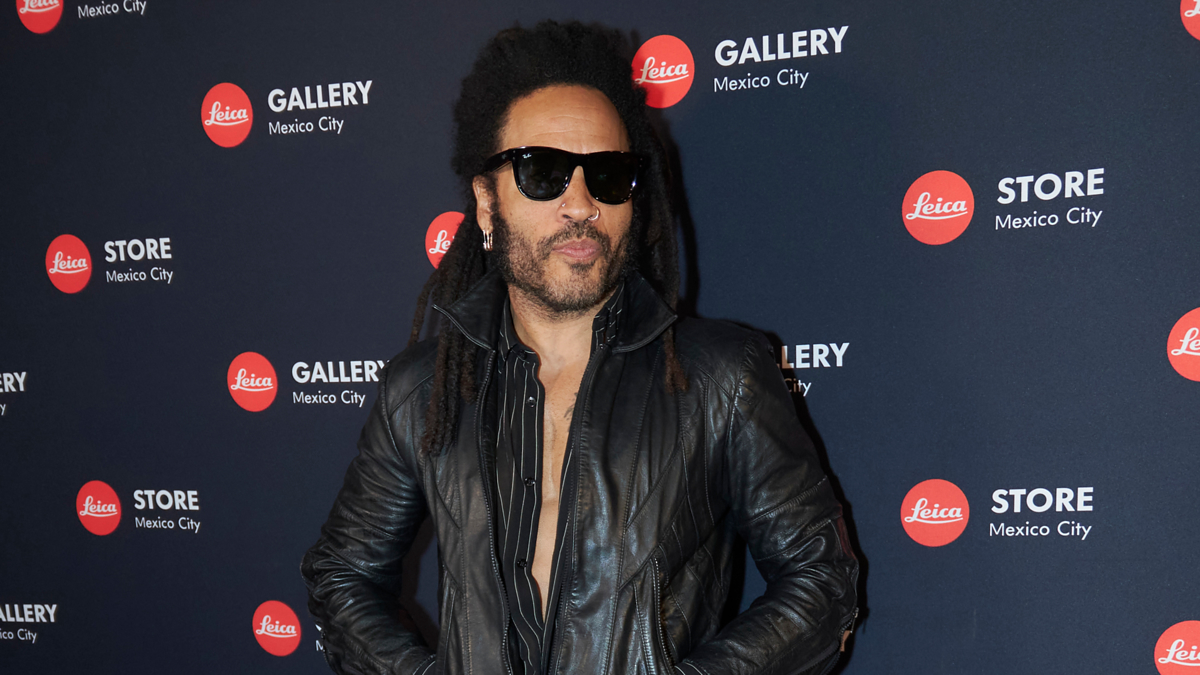 lenny kravitz on the red carpet