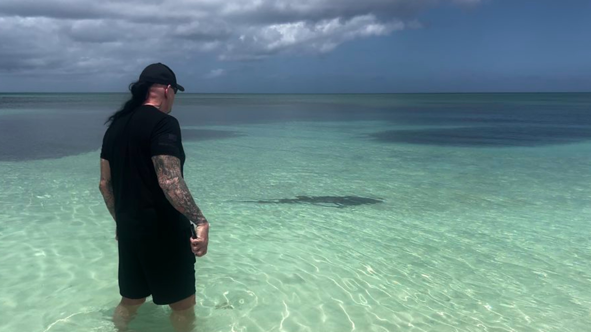 undertaker stares at shark