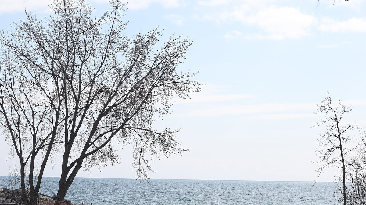 Lake Ontario shoreline during the day