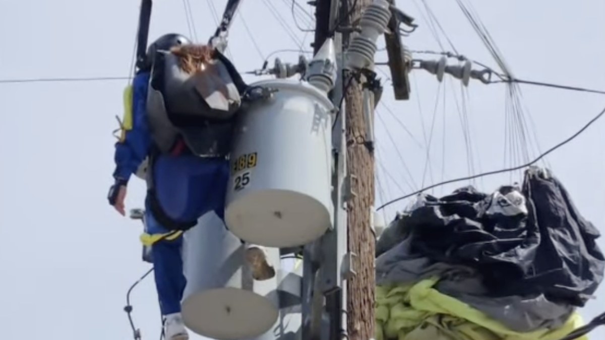 Firefighters rescue skydiver tangled in power lines