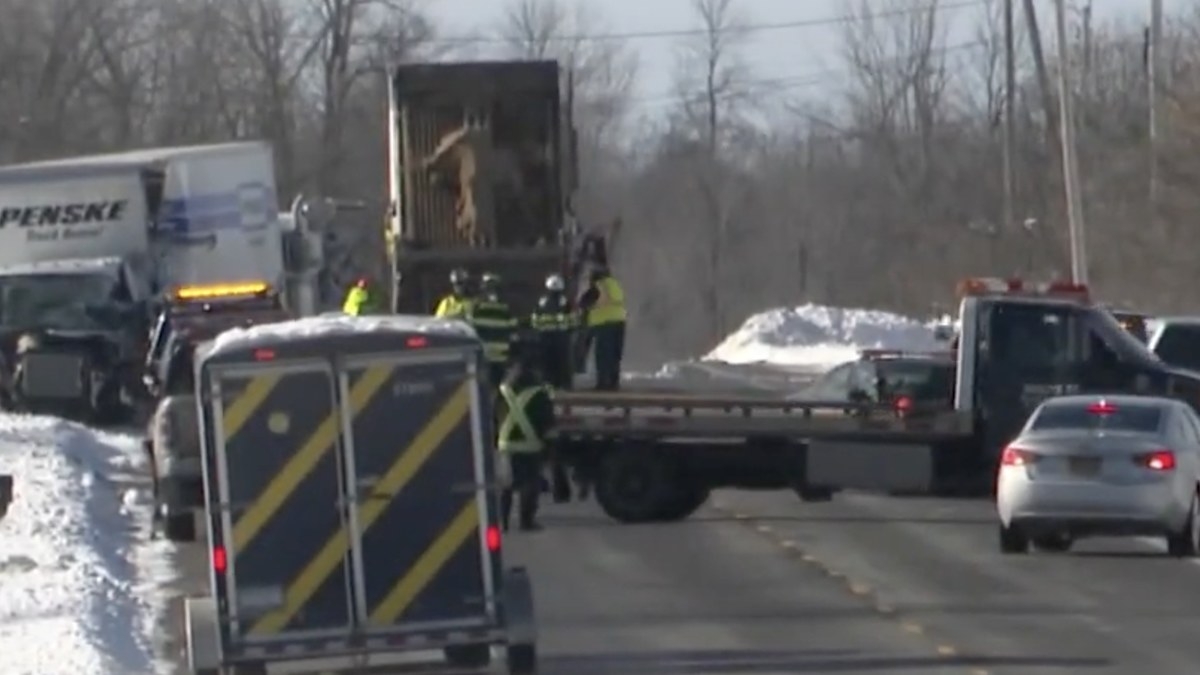 Six people are dead and three injured in a fatal accident between a bus and a box truck in New York.