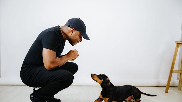 dj ez