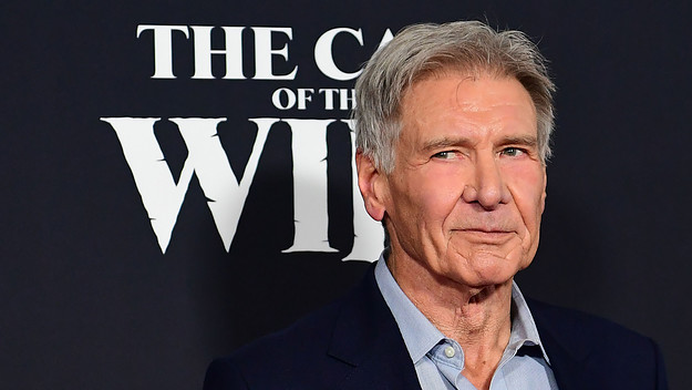 Harrison Ford arrives for Disney's "The Call of the Wild" premiere.