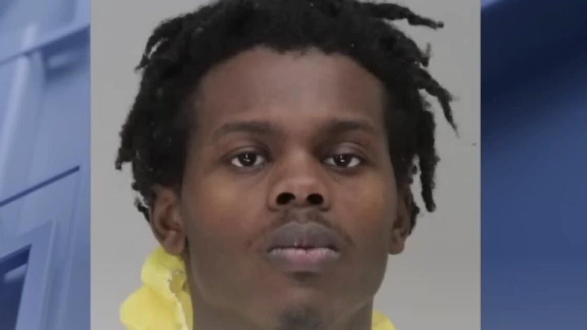 Davion Irvin has been charged with six counts of animal cruelty and two counts of burglary