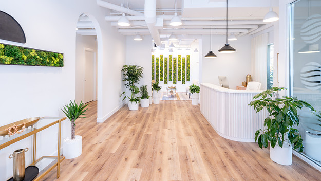 A reception room with white walls, a white desk, and greenery throughout