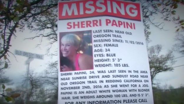 A woman who faked a kidnapping is pictured