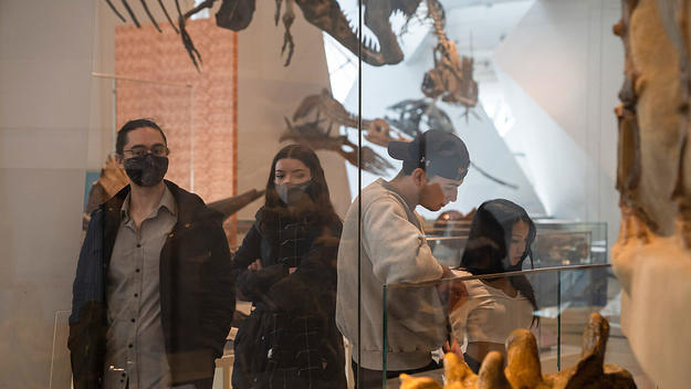 A masked couple walks through the dinosaur exhibition museum. Ontario's mask mandate against Covid-19 has been lifted