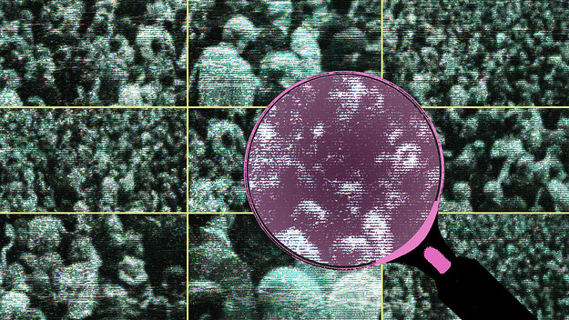 The Reckless Rise of Rap's Internet Detectives