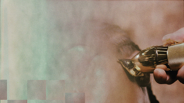 Cover art for Leikeli47's forthcoming album '