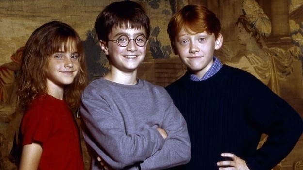 harry potter 20 year reunion