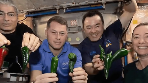 Members of the SpaceX crew who have to travel home in diapers
