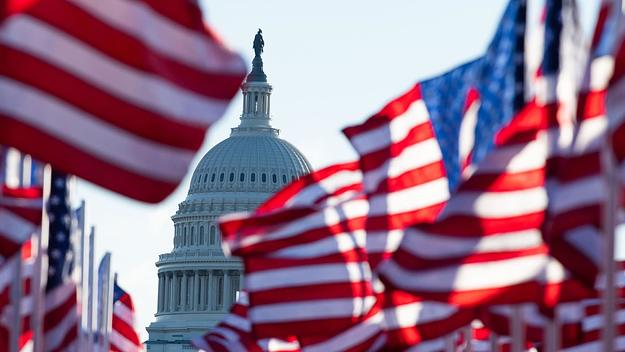 Flags surround the United States Capitol