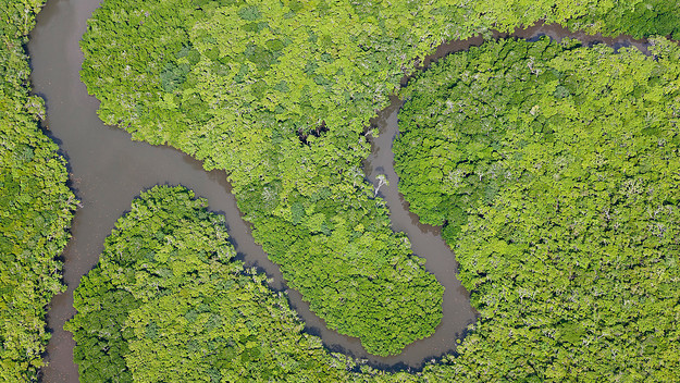 daintree-river