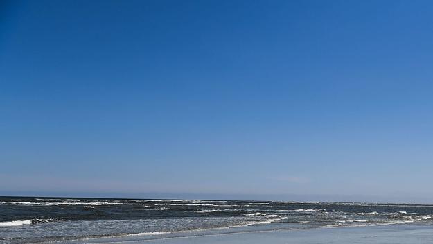 woman-throws-puppy-in-ocean