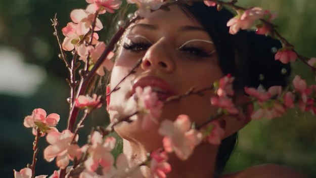 Vel the Wonder - "Samurai Uma"