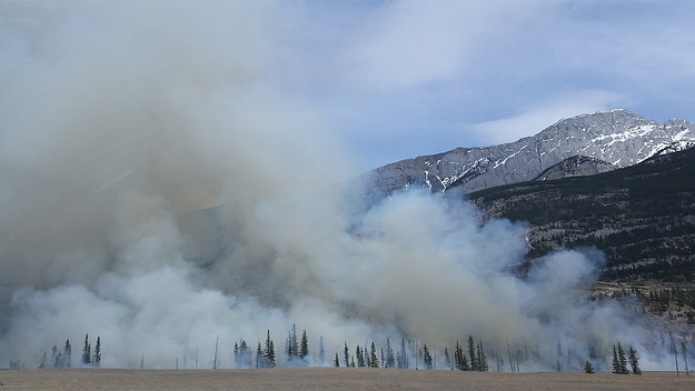 A wildfire with smoke