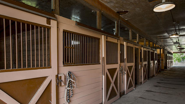 Horse stables